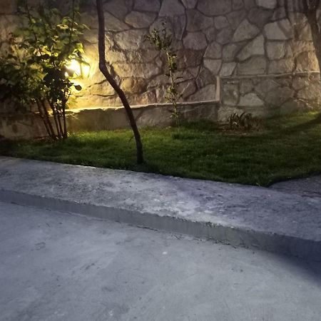 Nemanja Daire Trebin Dış mekan fotoğraf