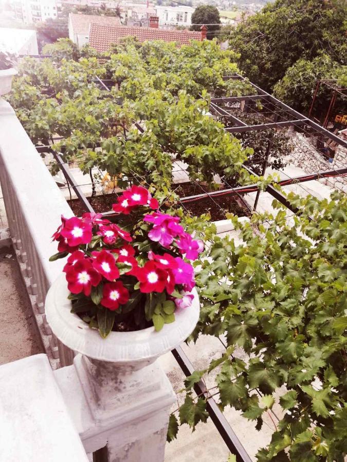 Nemanja Daire Trebin Dış mekan fotoğraf