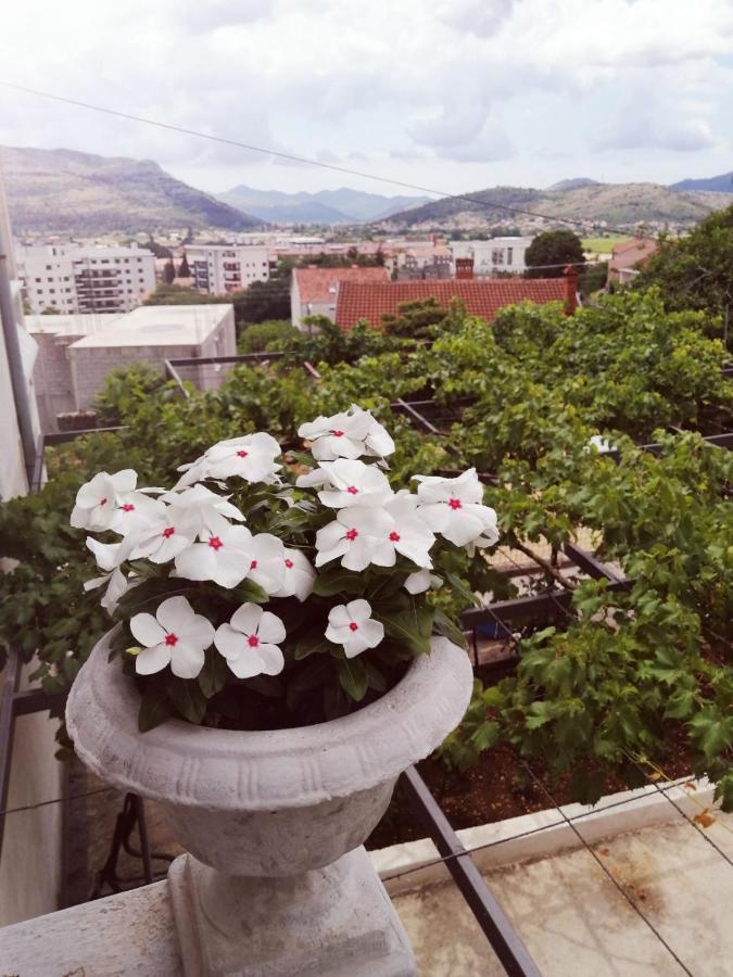 Nemanja Daire Trebin Dış mekan fotoğraf